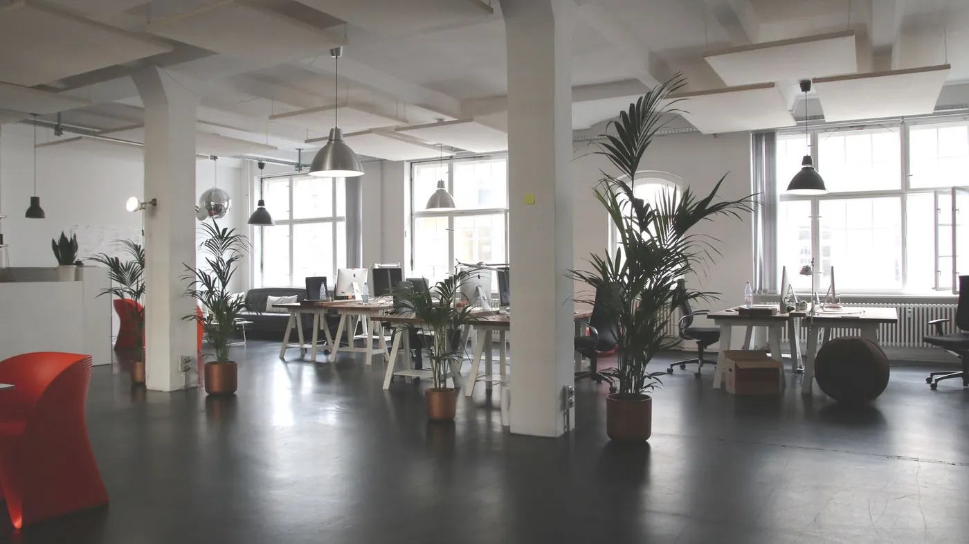 Bright open-plan office with desks and indoor plants.